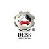 DESS Punto de Venta