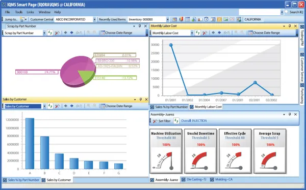 IQMS ERP