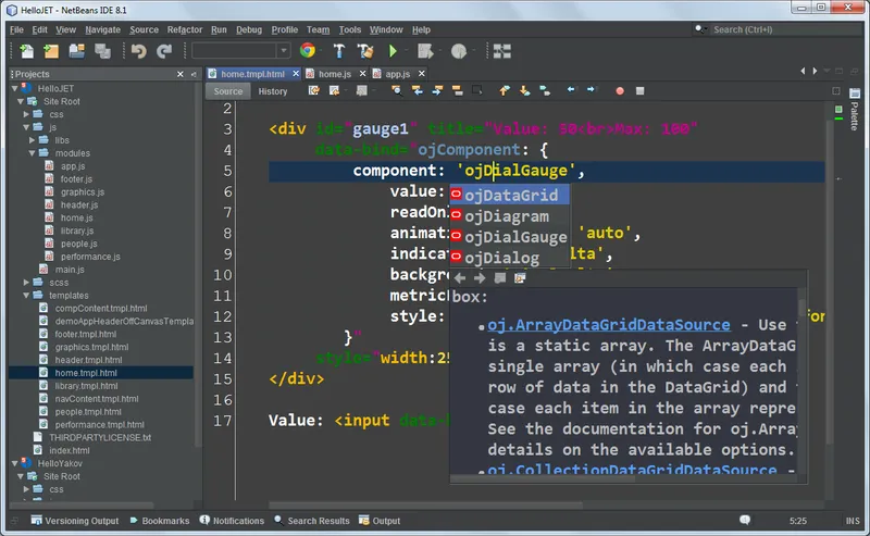 NetBeans IDE