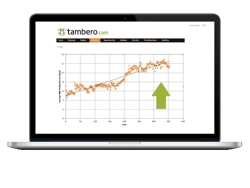 Tambero.com