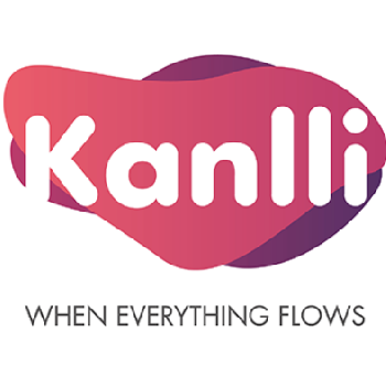 Kanlli Optimización SEO