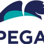 Pega Platform