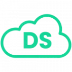 Delysoft logo