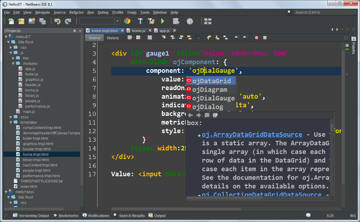 NetBeans IDE